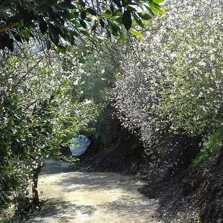 Hébergement de vacances Aretis Sea View House Pachyammos