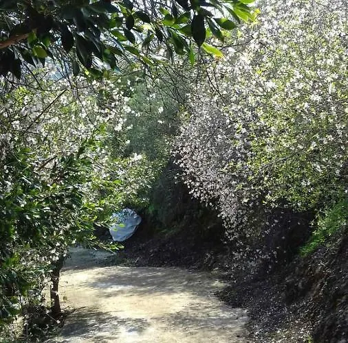 別荘 Aretis Sea View House Pachyammos